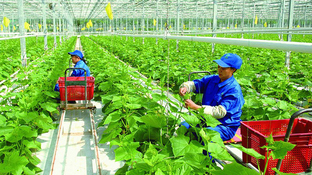 Vietnam prioritizes green agri